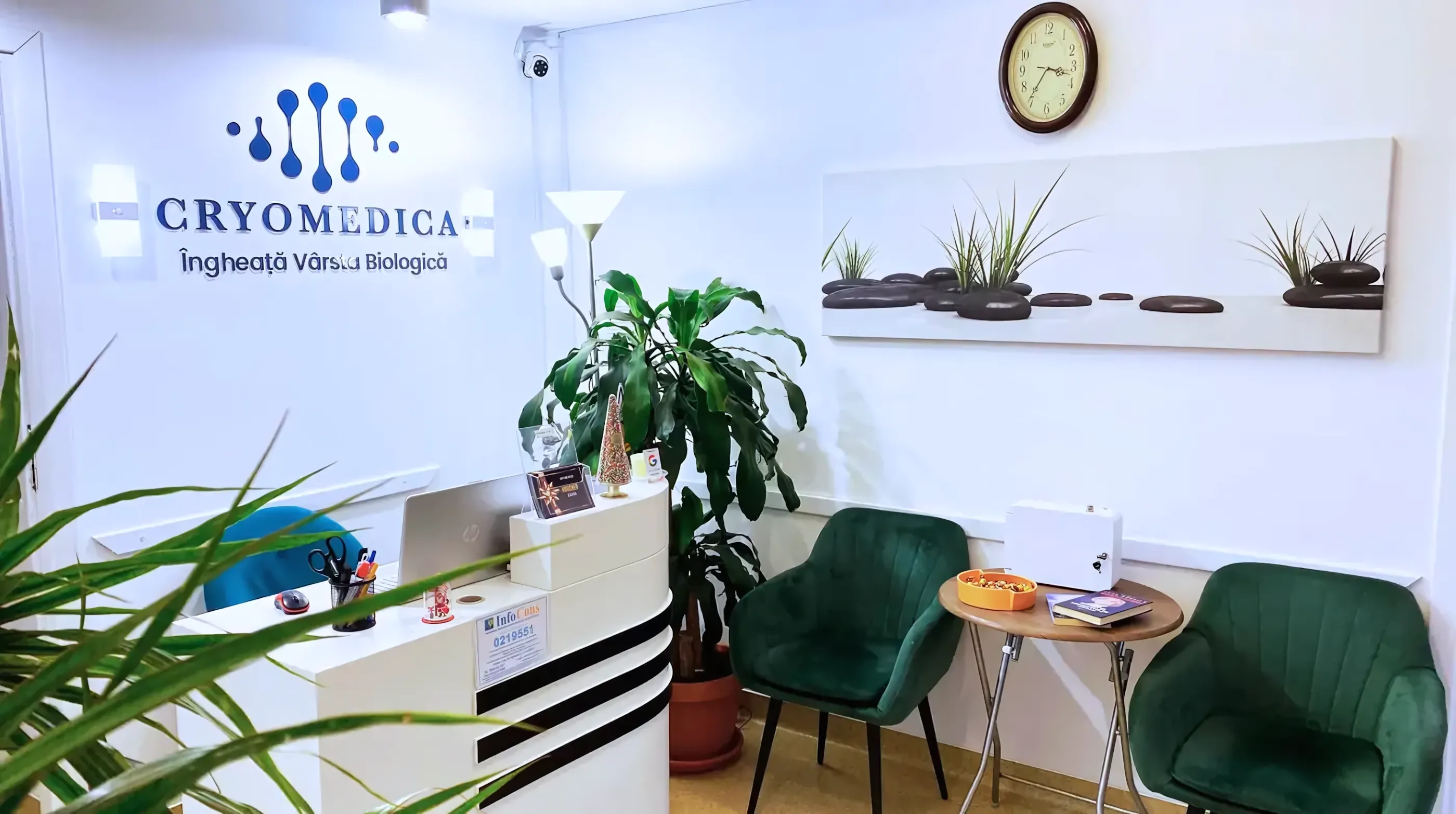 Sala de așteptare a clinicii CryoMedica Cluj, interior premium, atmosferă liniștită.